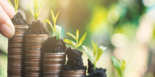 Investment Banking, Capital Raising, Mergers & Acquisitions