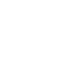 Execution Capabilities