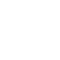 Professional Team